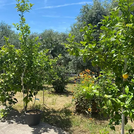 Apartament With Parking Space Lopar, Rab - 24597 Lopar