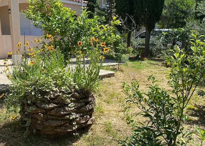 With Parking Space Lopar, Rab - 24597 * Lopar