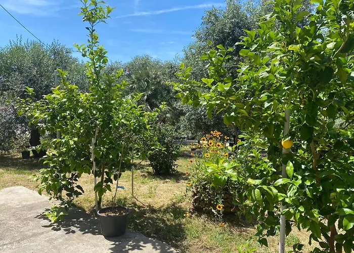 Apartament With Parking Space Lopar, Rab - 24597 Lopar