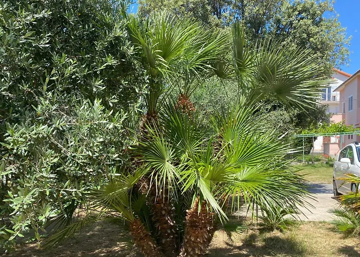 With Parking Space Lopar, Rab - 24597 Apartament *